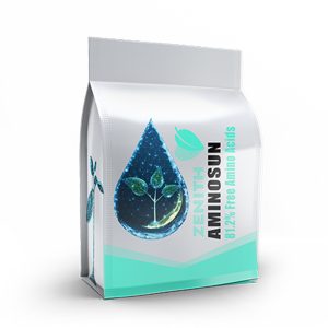 آمینوسان زنیت آلمان